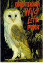 Dartmoor Wildlife Park Guide 1978 - Barn Owl.